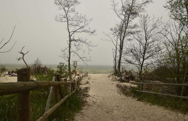 Tasteful Villa on the Polish Coast in Beautiful Nature, Lovely Garden, Sauna - Photo 36