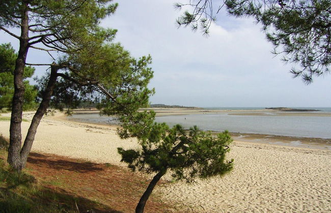 Holiday Home, La Trinite-sur-mer - Foto 23