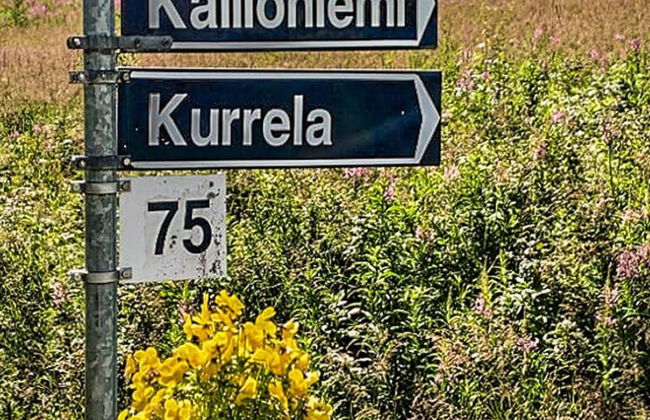 Kallioniemi - Foto 14