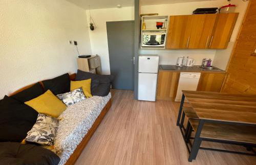 logement chaleureux 1 chamb pied des pistes - Foto 10