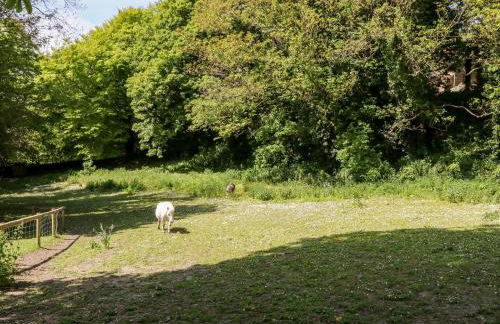 Beachcombers - Photo 28