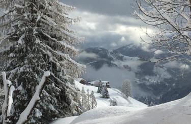 Tabià del Belli - Foto 68