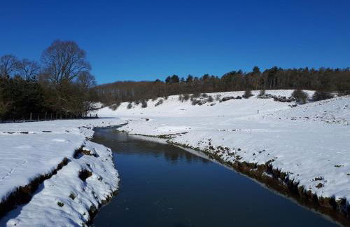 Greystones Lodge - Foto 42