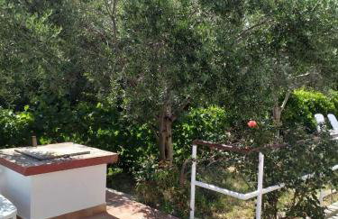 Apartments by the sea Caska, Pag - 202 - Photo 6