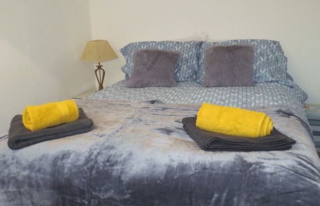 Frog Palace - Photo 14