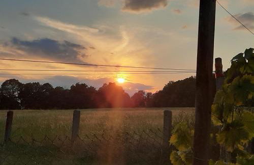 Ferienwohnung im grünen Muldental - Foto 28