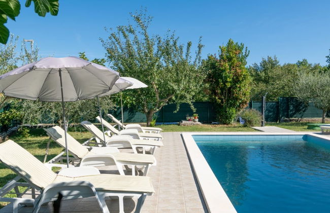 Villa Sabina - Breg Ivanovci - Foto 31