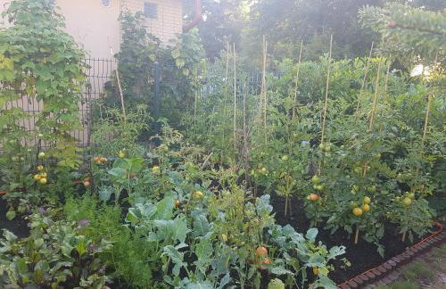 Dom Colonia - Foto 15