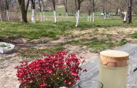 Kozy i Róże - Foto 64