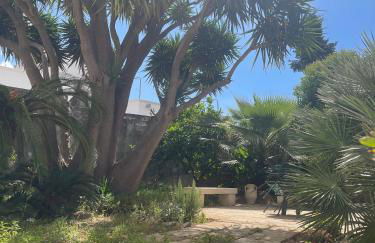 La Corte di Zia Lucia - vicino Ospedale Panico - Cammino del Salento - Foto 20