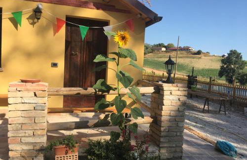 Agriturismo Fattoria Del Colle By Enrico - Foto 21