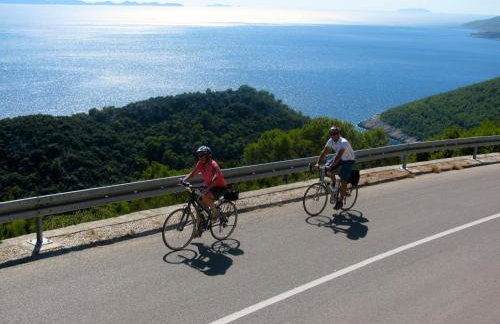 Golden view luxury apartment - Photo 48