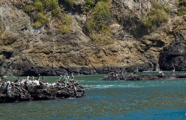 Salango Island Tour - Photo 7