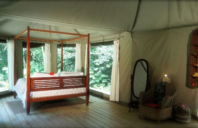 Citrus Creek Plantation - Photo 41