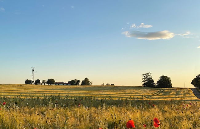 Large Architect and Designer Home 800m From Beach South Sweden Skane - Foto 18