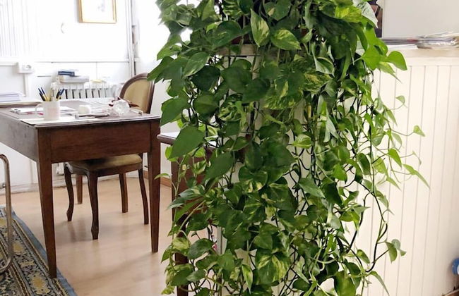 Umberty House - Foto 5