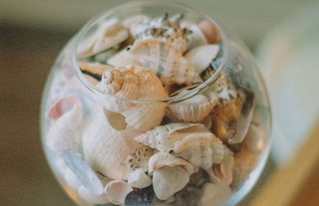 The Black Isle Apartment - Foto 25