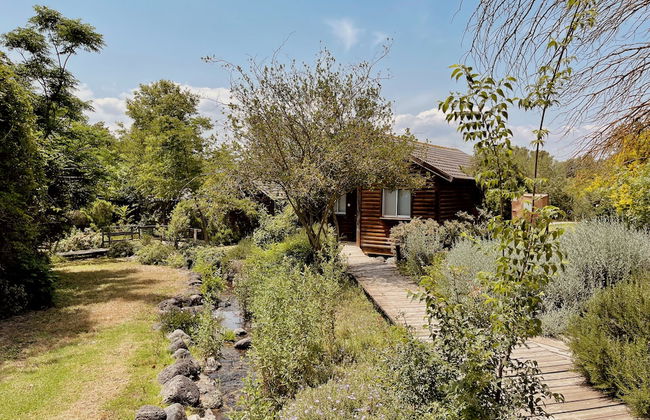 Nofey Habashan - Foto 75