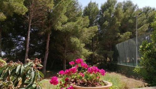 Villa Parra - Foto 5, Garden, Garden view