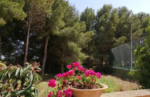 Villa Parra - Foto 5