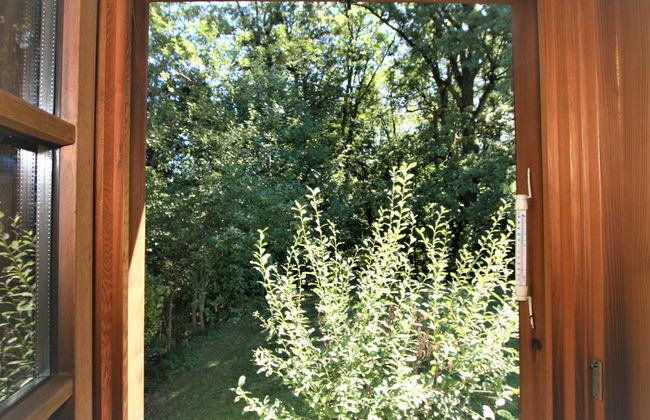 Vogelhütte - Foto 16