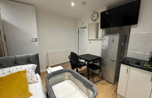1st Studio Flat With full Private Toilet And Shower With its Own Kitchenette in Keedonwood Road Bromley A Fully Equipped Independent Studio Flat - Photo 29