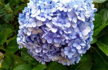 O Pouso Condomínio - Foto 36