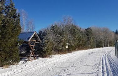 Ferienwohnung Hillig - Foto 46