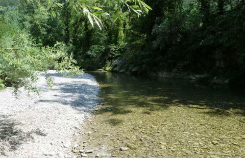 Gite nature les ANOURES en PROVENCE - Foto 14