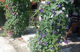 Cueva de la abuela - Foto 32