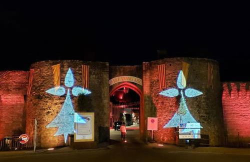 La Porte Saint Mi-Sel, Gîte au coeur de la cité médiévale - Foto 27