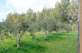 Tra Mare e Monti - Foto 20