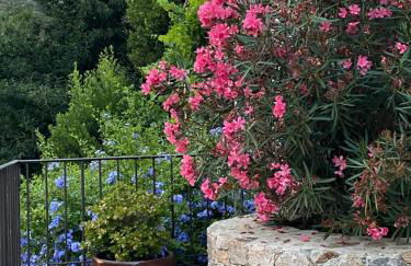 Gîte A Funtana Montestremo, Balagne, Haute Corse - Foto 16
