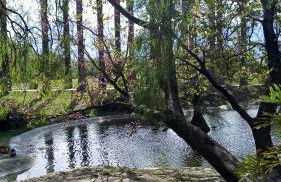 SUEÑOS DEL MAR - Foto 27