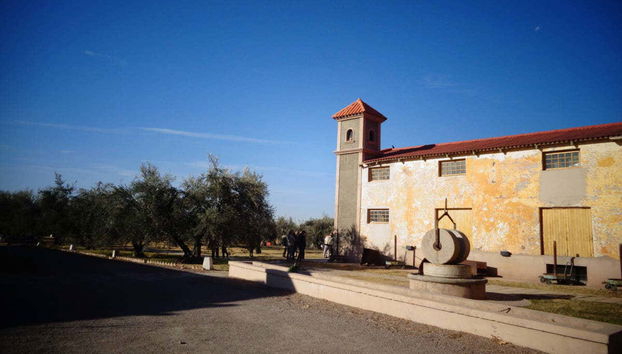 Wine Tasting and Winery Tour - Foto 3