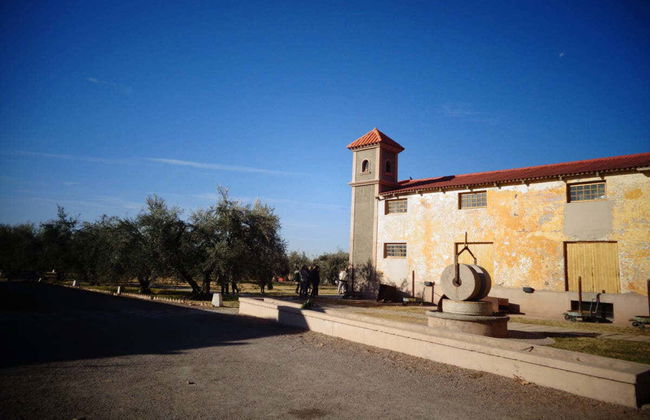 Wine Tasting and Winery Tour - Foto 3