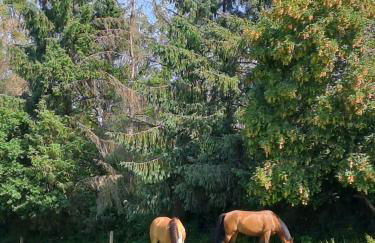 gite de la Chevrie - Photo 16