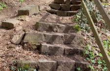 Froschkönig mit Teichblick - Photo 20