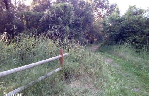 Casa nel parco sulla spiaggia - Foto 9