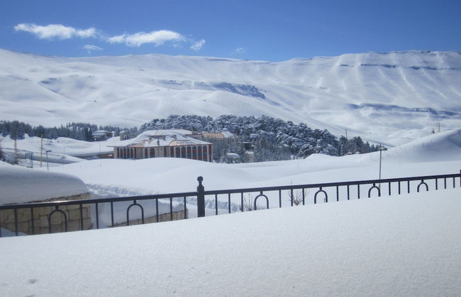 Cedars Palace - Foto 21