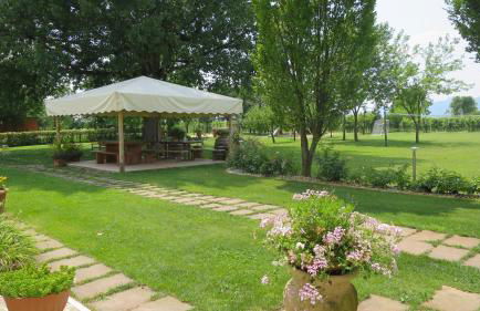 Agriturismo L'Albara - Wines, Pool & SPA - Foto 18