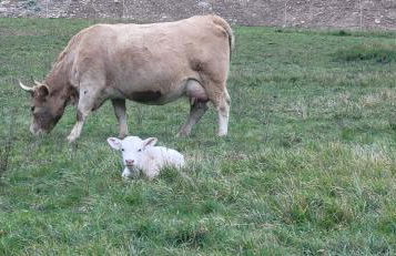 La Casa de la Vega - Foto 60