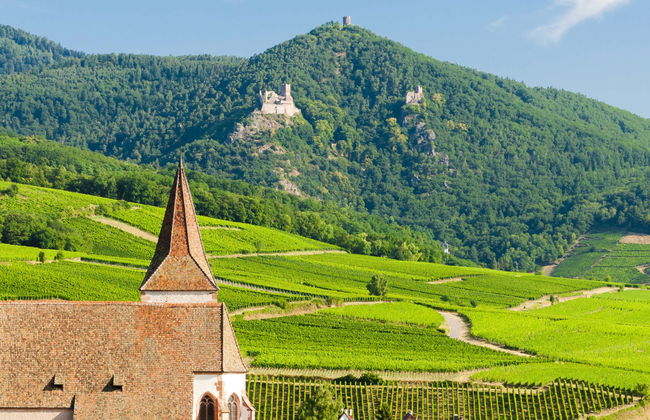 Tour completo pela Alsácia - Foto 2