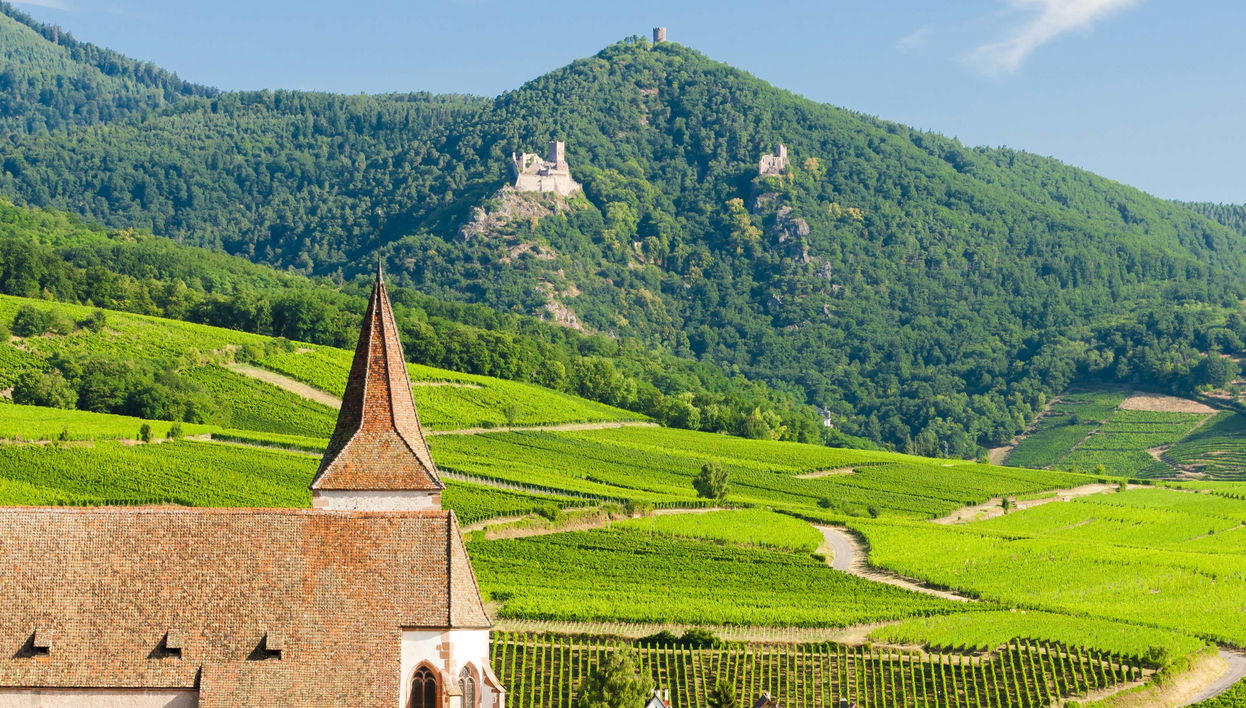 Visite complète de l'Alsace