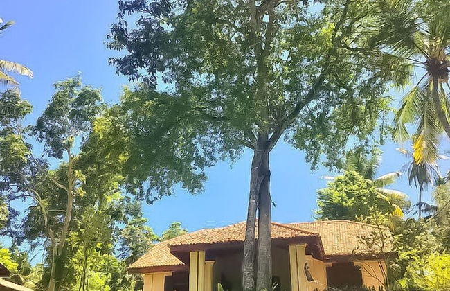 The Mugatiya - Foto 49