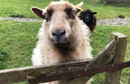 Holiday Home Rivers Reach by Interhome - Foto 34