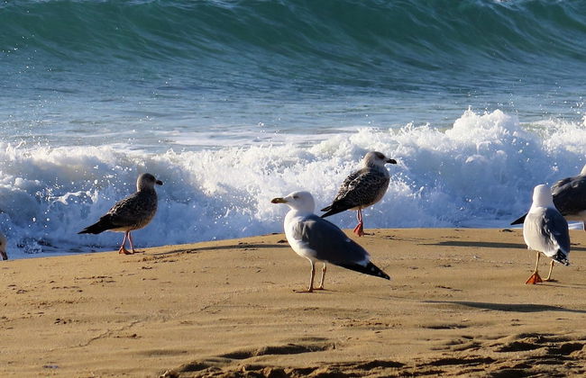 Apartamentos Laura Mar - Foto 29