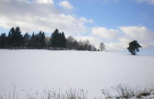 Gîte 3 épis avec 2 chambres, terrasse et Wi-Fi - FR-1-496-161 - Foto 18