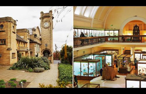 The Nest of Forest Hill - Photo 48