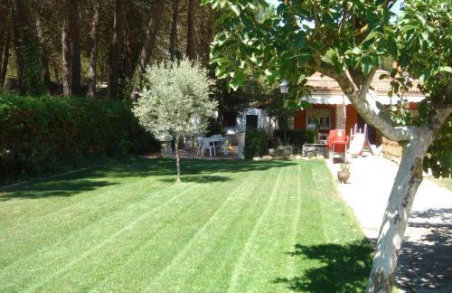 Ribera del Duero - Foto 36